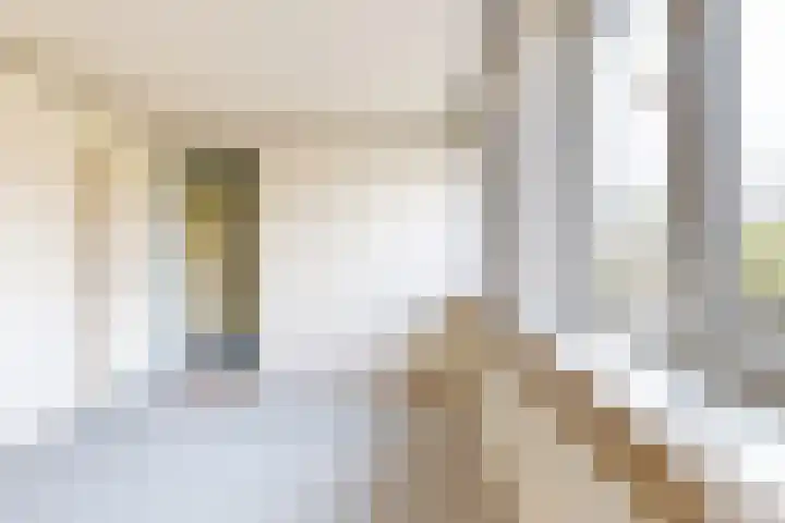 Philips Willemstraat 37 Dinteloord thumbnail 32