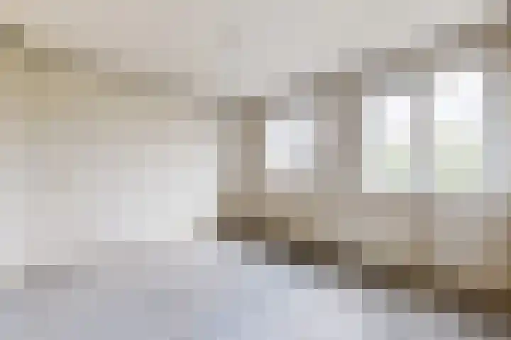 Philips Willemstraat 37 Dinteloord thumbnail 34