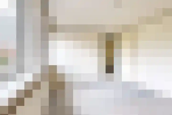 Philips Willemstraat 37 Dinteloord thumbnail 36