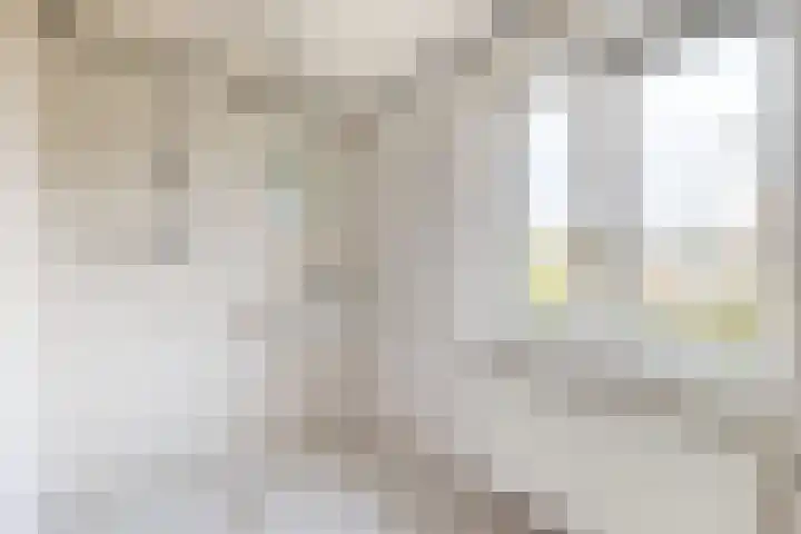Philips Willemstraat 37 Dinteloord thumbnail 40