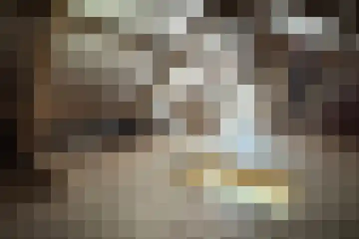 Philips Willemstraat 37 Dinteloord thumbnail 43