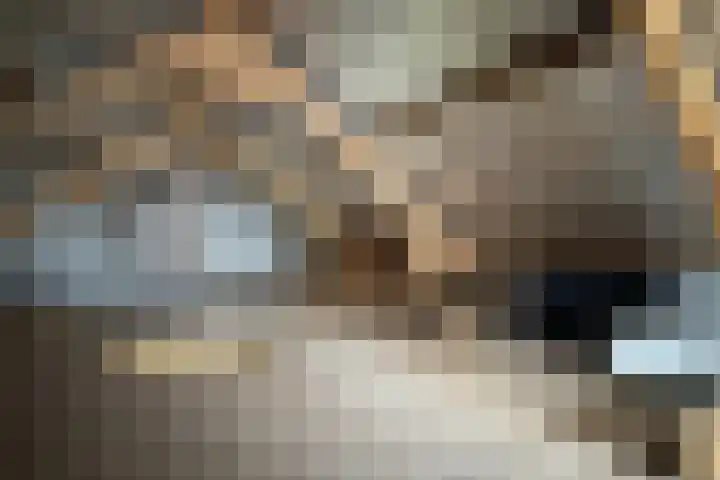 Philips Willemstraat 37 Dinteloord thumbnail 44