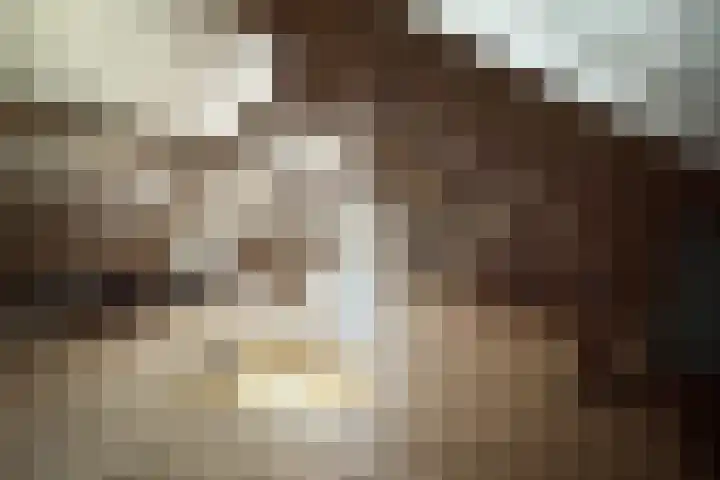 Philips Willemstraat 37 Dinteloord thumbnail 46
