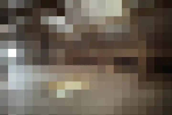 Philips Willemstraat 37 Dinteloord thumbnail 47