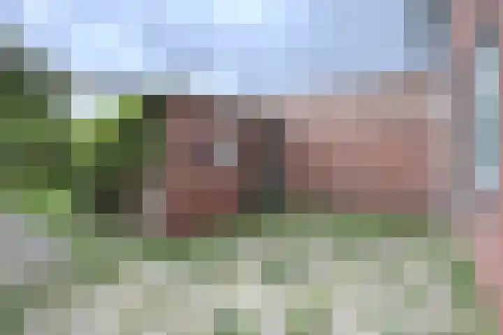 Philips Willemstraat 37 Dinteloord thumbnail 48