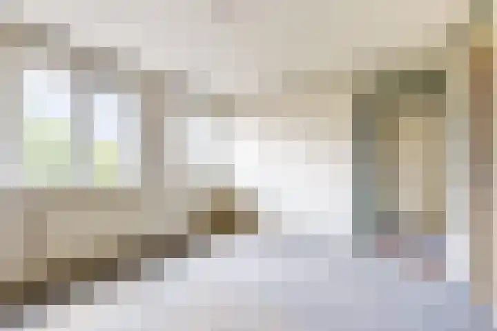Philips Willemstraat 37 Dinteloord thumbnail 5