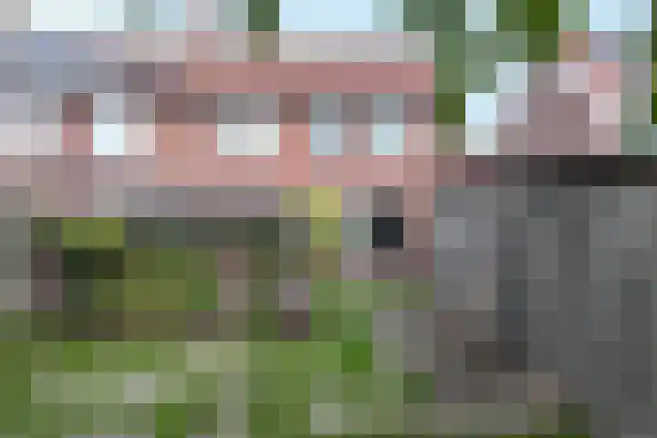 Philips Willemstraat 37 Dinteloord thumbnail 51