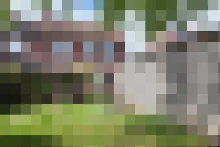 Philips Willemstraat 37 Dinteloord thumbnail 52