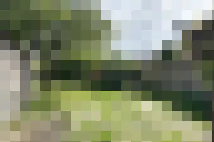 Philips Willemstraat 37 Dinteloord thumbnail 54