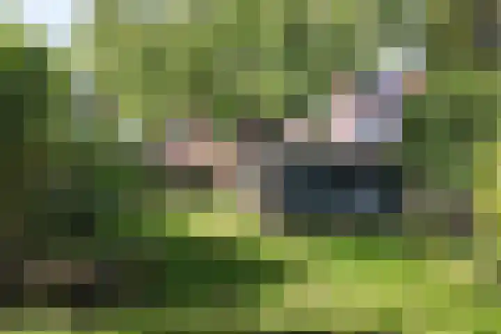Philips Willemstraat 37 Dinteloord thumbnail 57