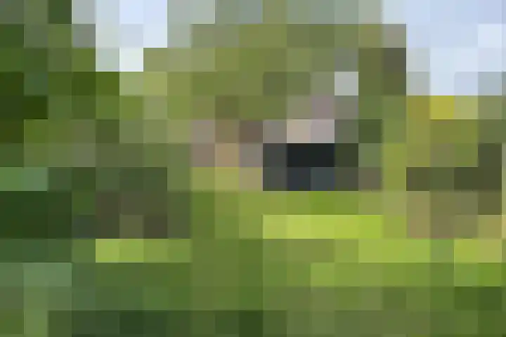 Philips Willemstraat 37 Dinteloord thumbnail 58