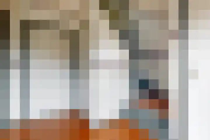 Philips Willemstraat 37 Dinteloord thumbnail 8