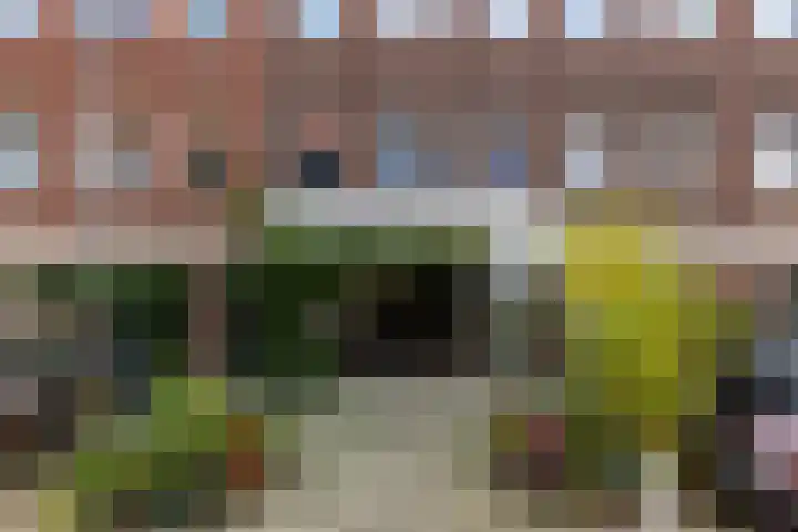 Philips Willemstraat 41 A Rotterdam thumbnail 35
