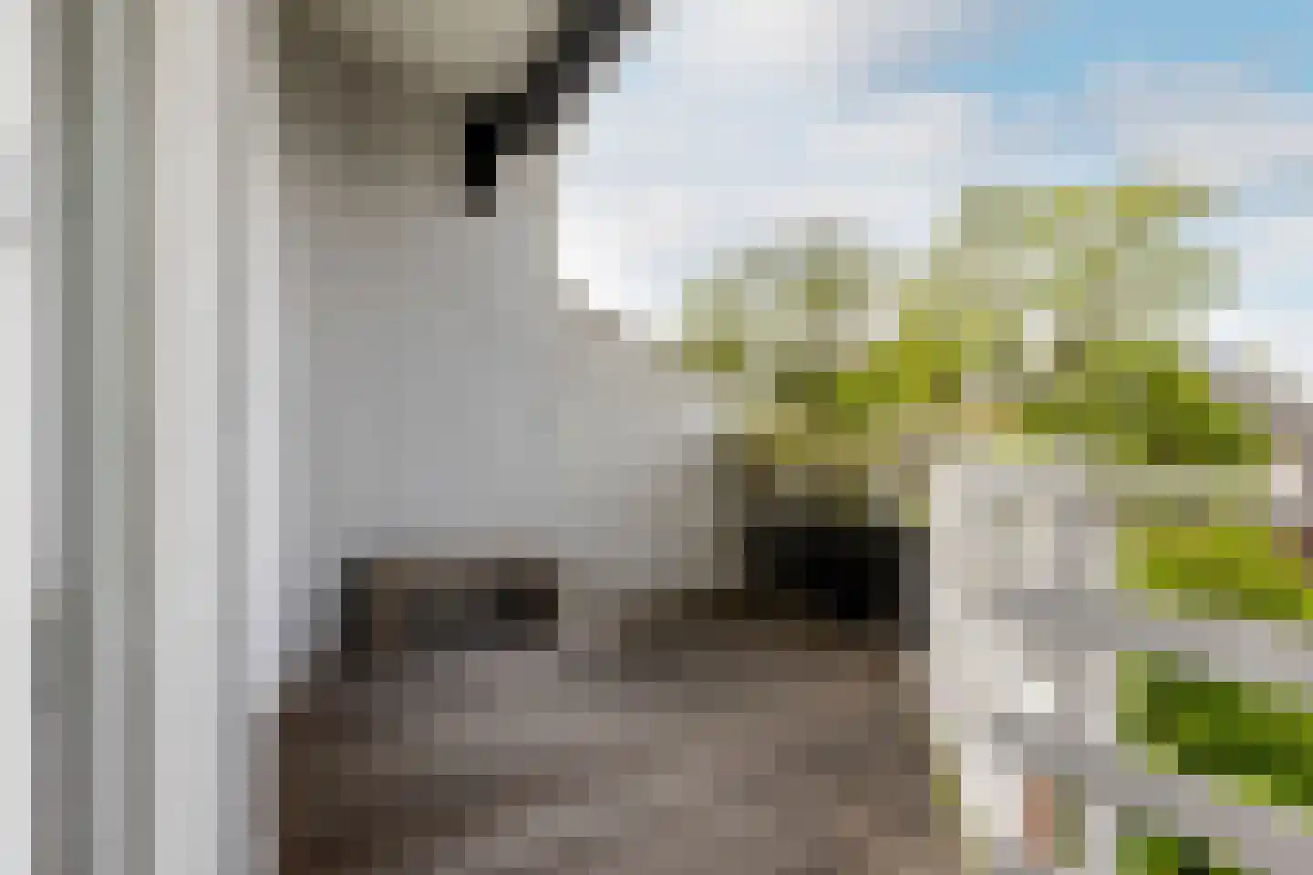 Philips Willemstraat 41 B Rotterdam thumbnail 14