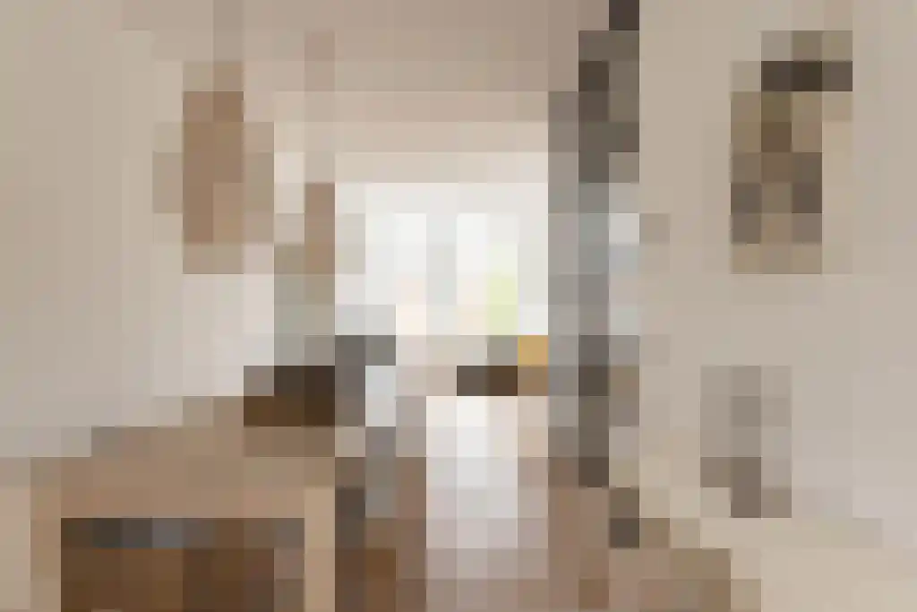 Philips Willemstraat 41 B Rotterdam thumbnail 8