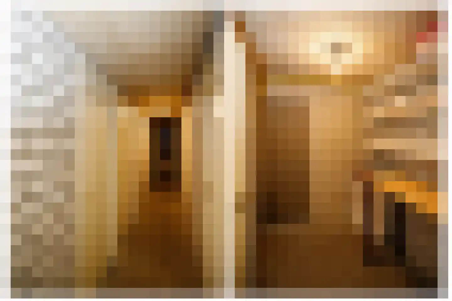 Philips Willemstraat 64 Rotterdam thumbnail 23