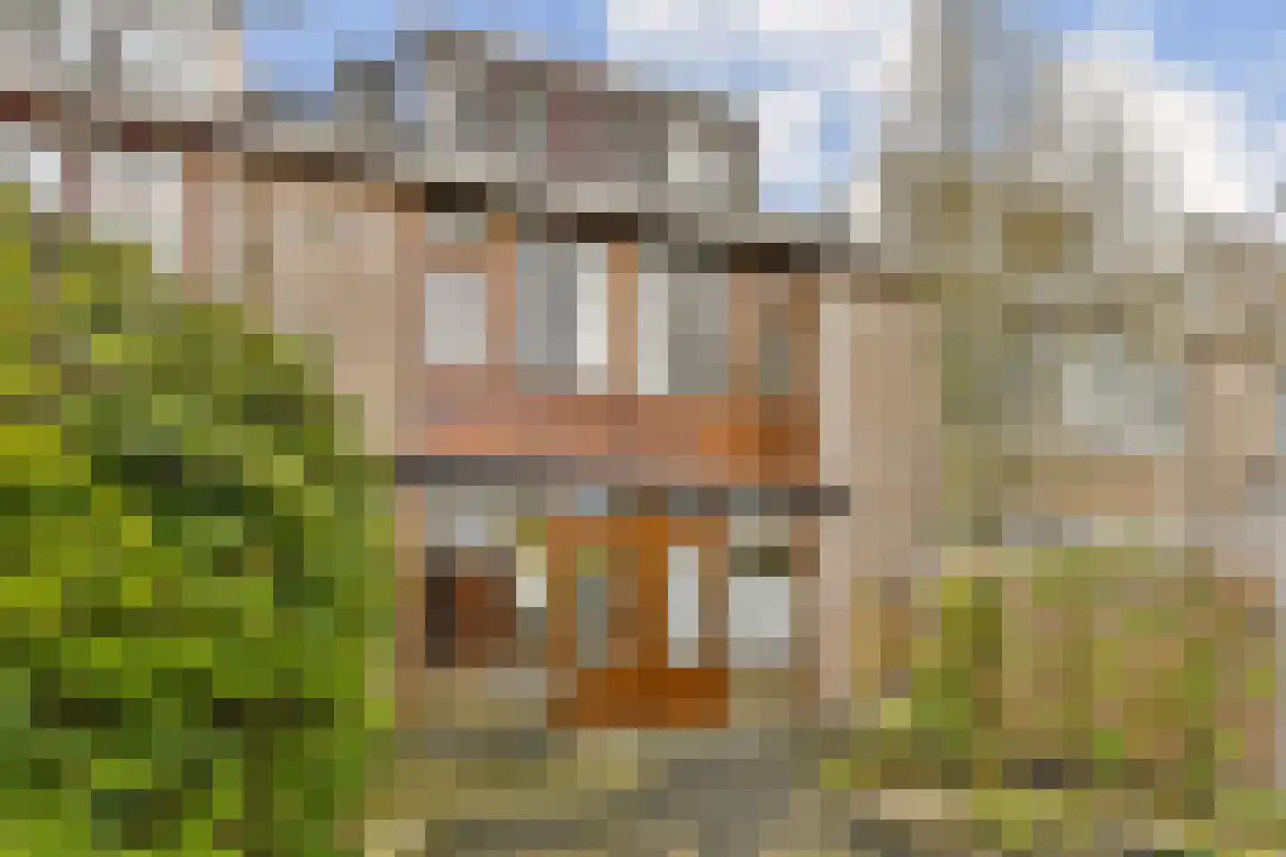 Philips Willemstraat 8 Vlaardingen thumbnail 23
