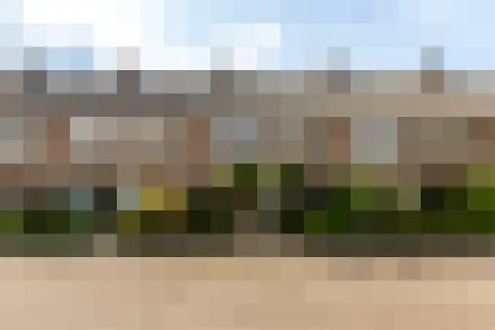 Philips Willemstraat 9 Vlaardingen