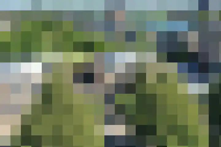 Philipsdaalder 14 Dronten