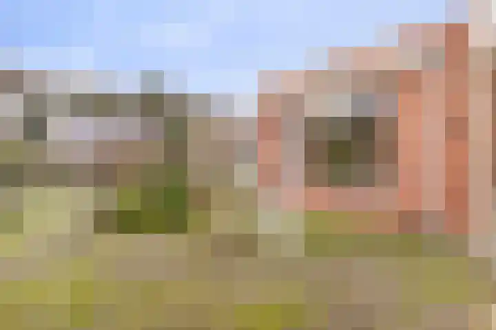 Philipsdaalder 14 Dronten thumbnail 10