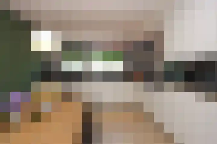 Philipsdaalder 14 Dronten foto 2