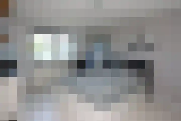 Philipsdaalder 14 Dronten thumbnail 20