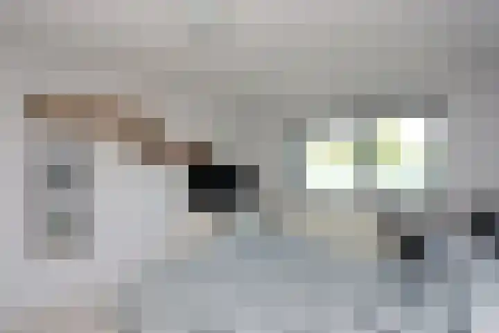 Philipsdaalder 14 Dronten thumbnail 21