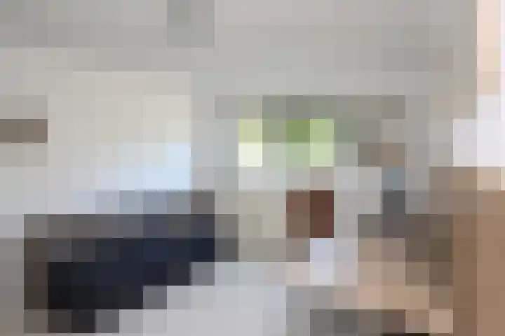 Philipsdaalder 14 Dronten thumbnail 25