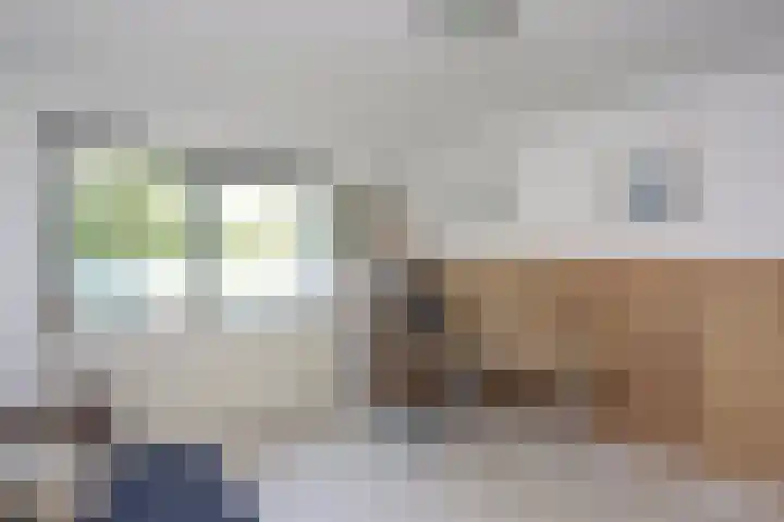 Philipsdaalder 14 Dronten thumbnail 26