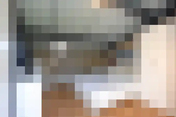 Philipsdaalder 14 Dronten thumbnail 32