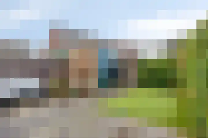 Philipsdaalder 14 Dronten thumbnail 33