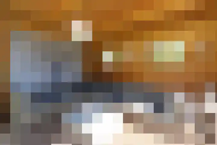 Philipsdaalder 14 Dronten thumbnail 43