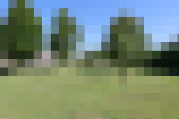 Philipsdaalder 14 Dronten thumbnail 45