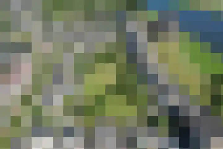 Philipsdaalder 14 Dronten thumbnail 47