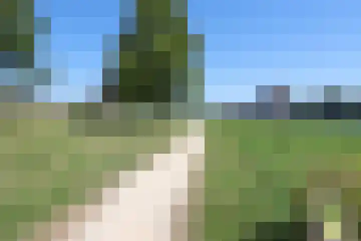 Philipsdaalder 14 Dronten thumbnail 50