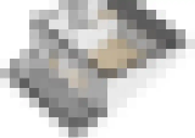 Philipsdaalder 14 Dronten thumbnail 56