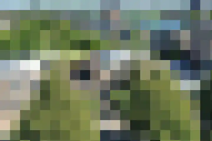 Philipsdaalder 14 Dronten thumbnail 57