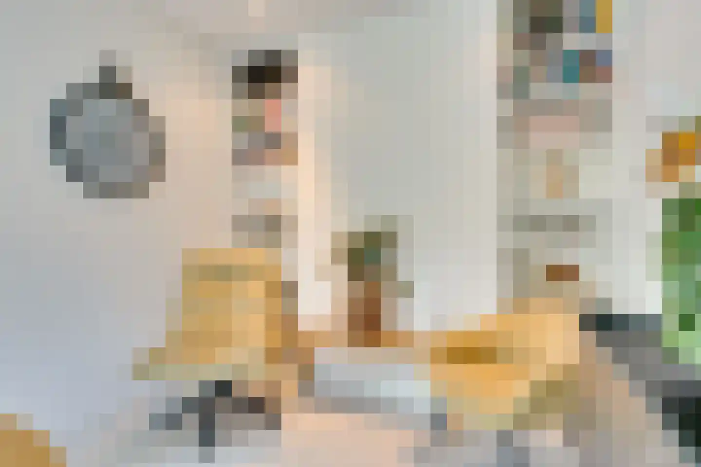 Philipsdaalder 2 Dronten thumbnail 26