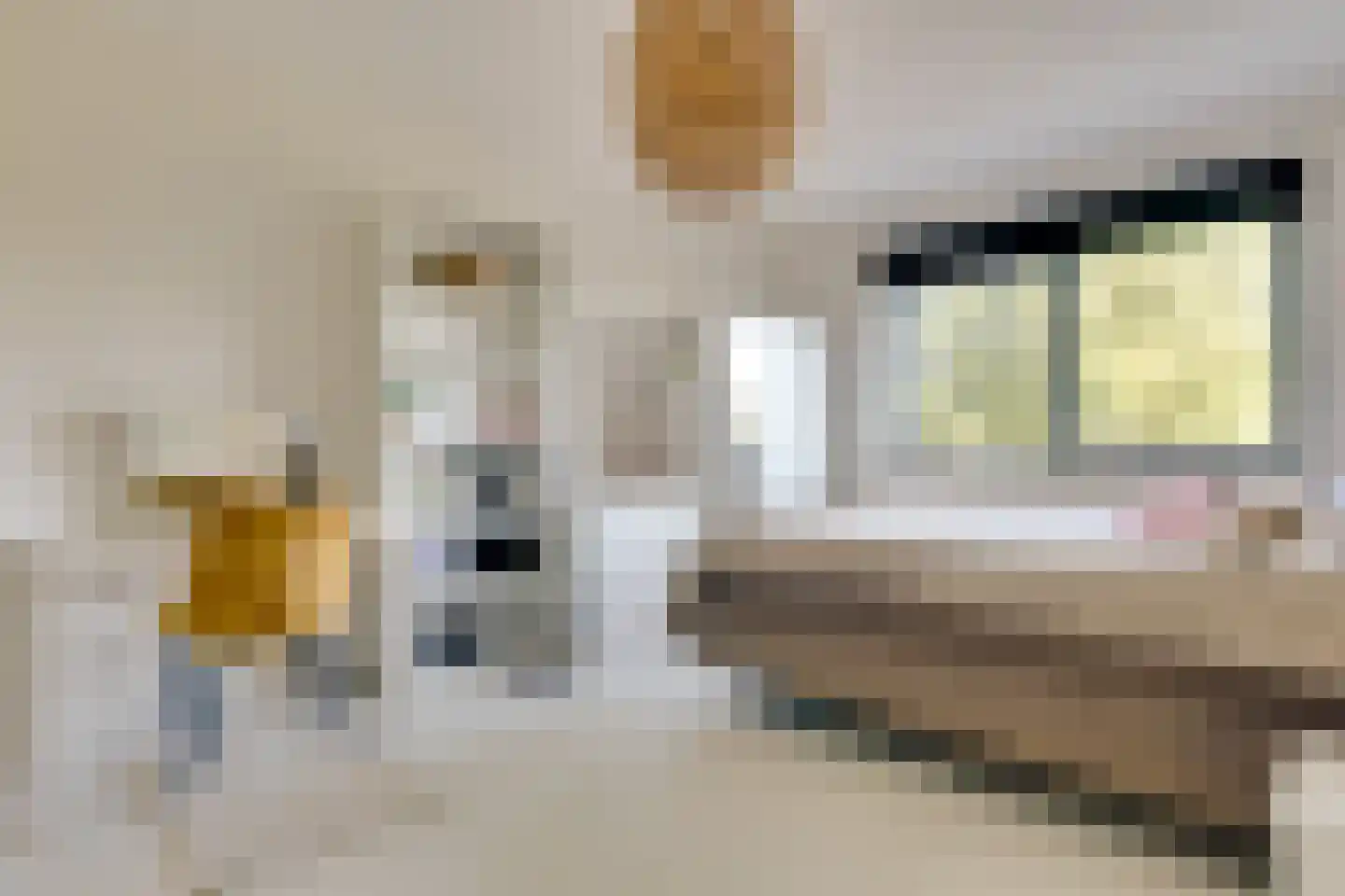 Philipsdaalder 2 Dronten thumbnail 34