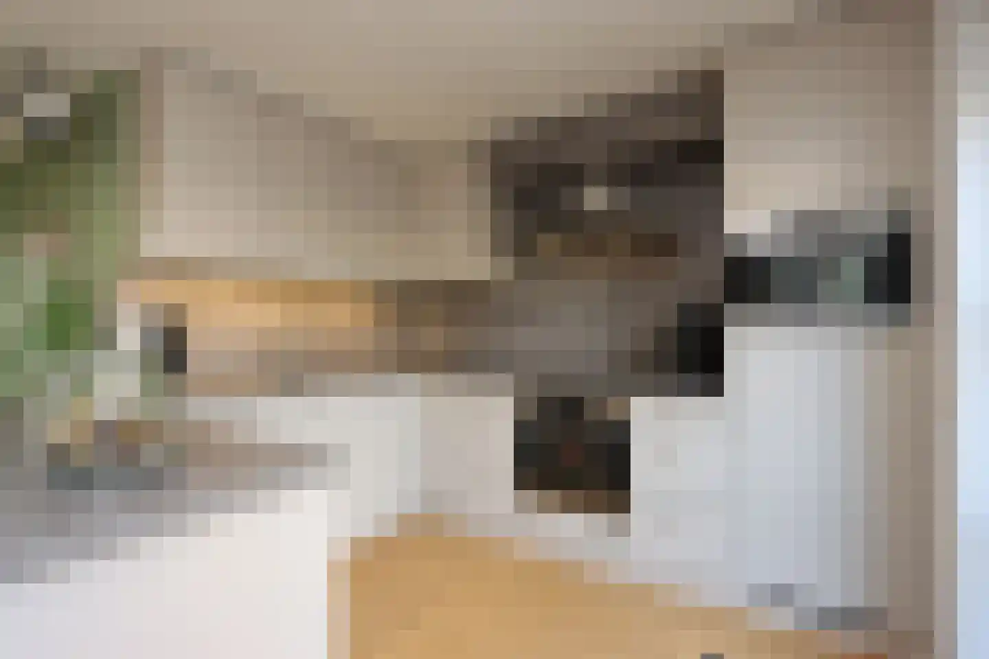 Philipsdaalder 72 Dronten thumbnail 19