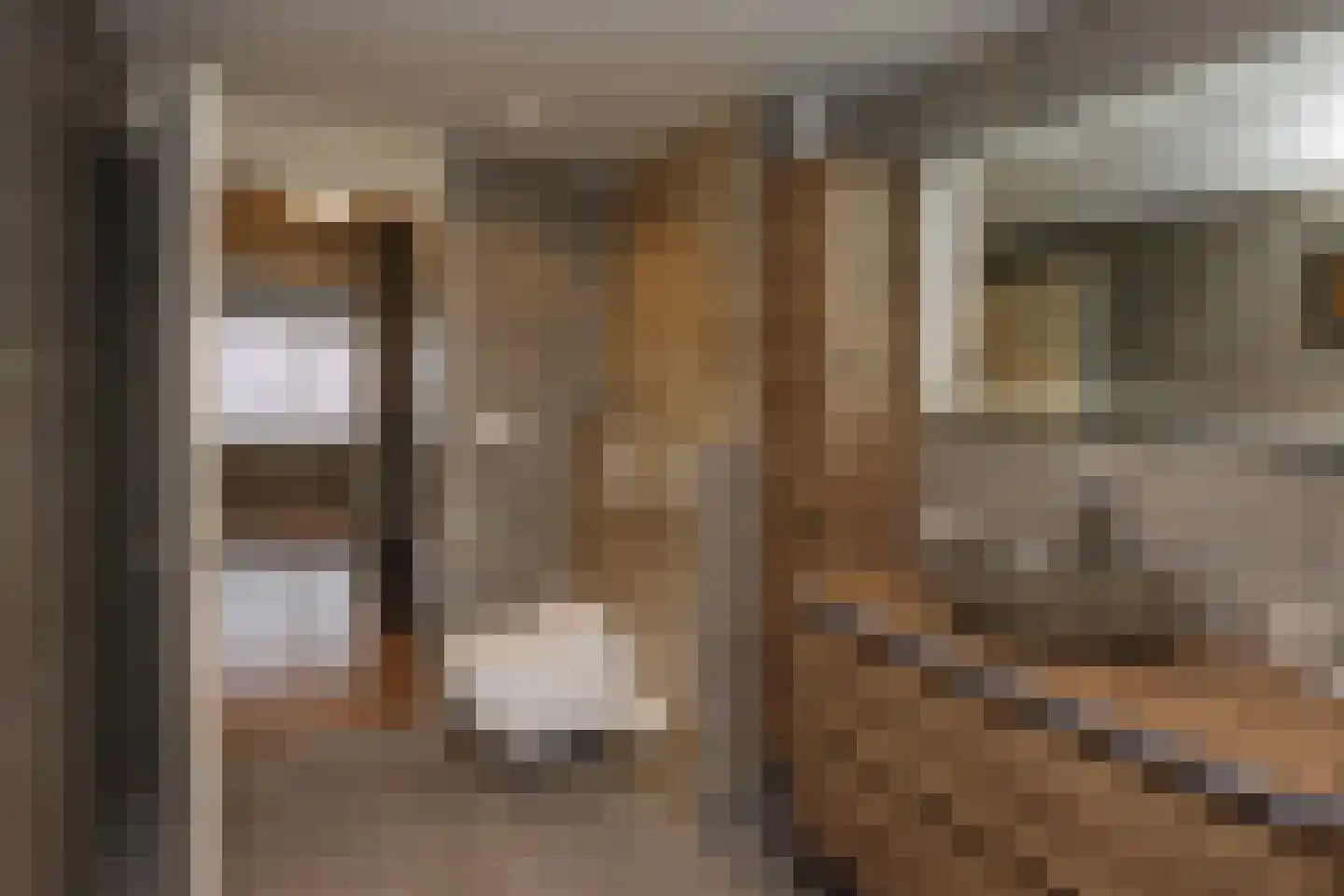 Philipsdaalder 72 Dronten thumbnail 30