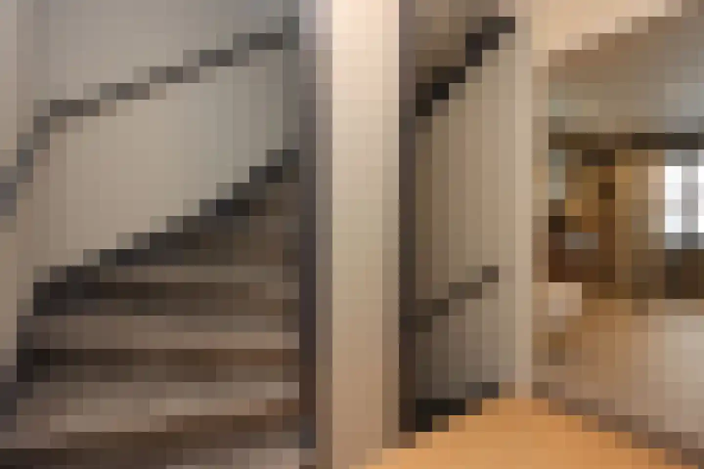 Philipsdaalder 72 Dronten thumbnail 34