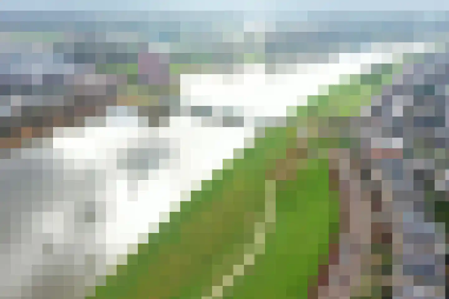 Philipsdaalder 72 Dronten thumbnail 51
