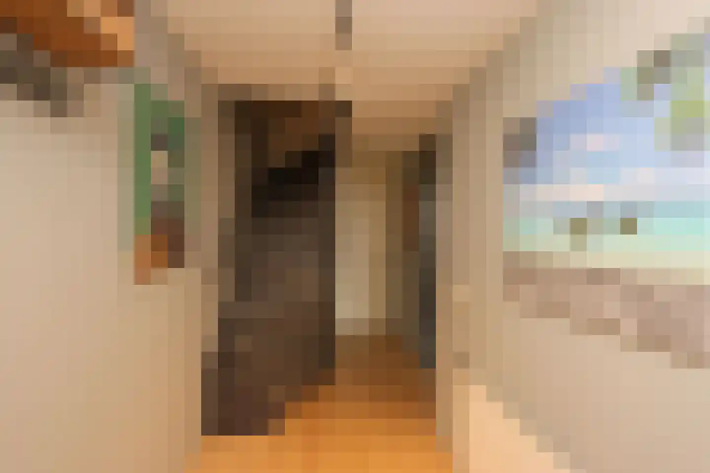 Philipsdaalder 72 Dronten thumbnail 9