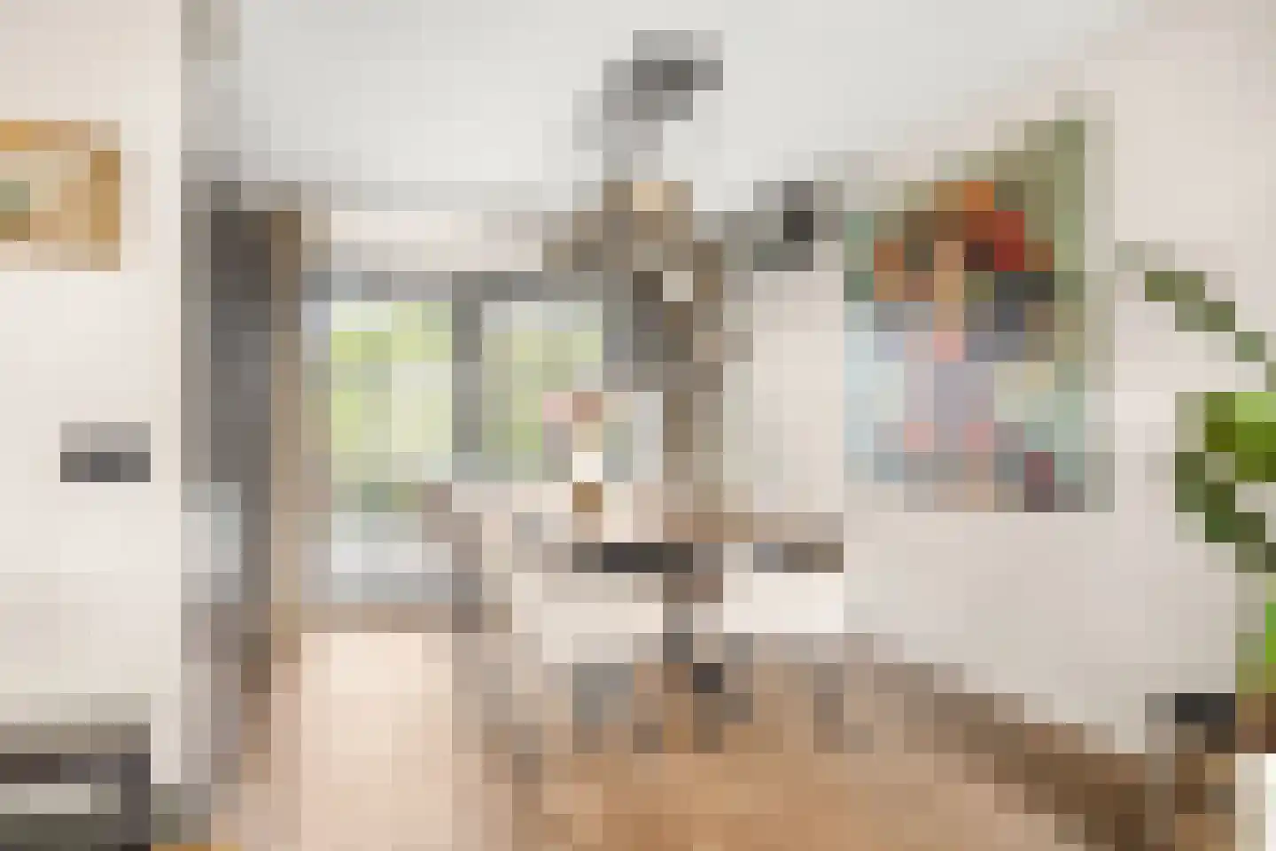 Philipsdaalder 76 Dronten thumbnail 13