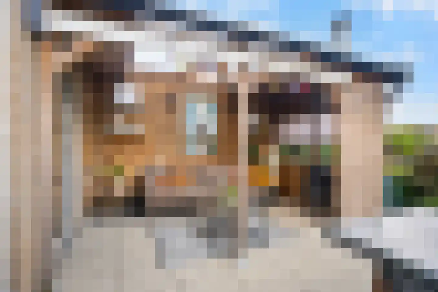 Philipsdaalder 76 Dronten thumbnail 30