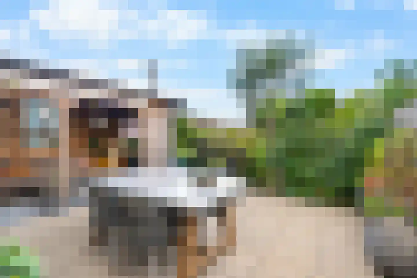 Philipsdaalder 76 Dronten thumbnail 32