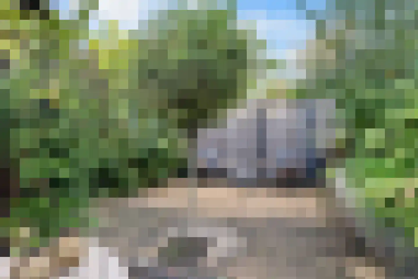 Philipsdaalder 76 Dronten thumbnail 35