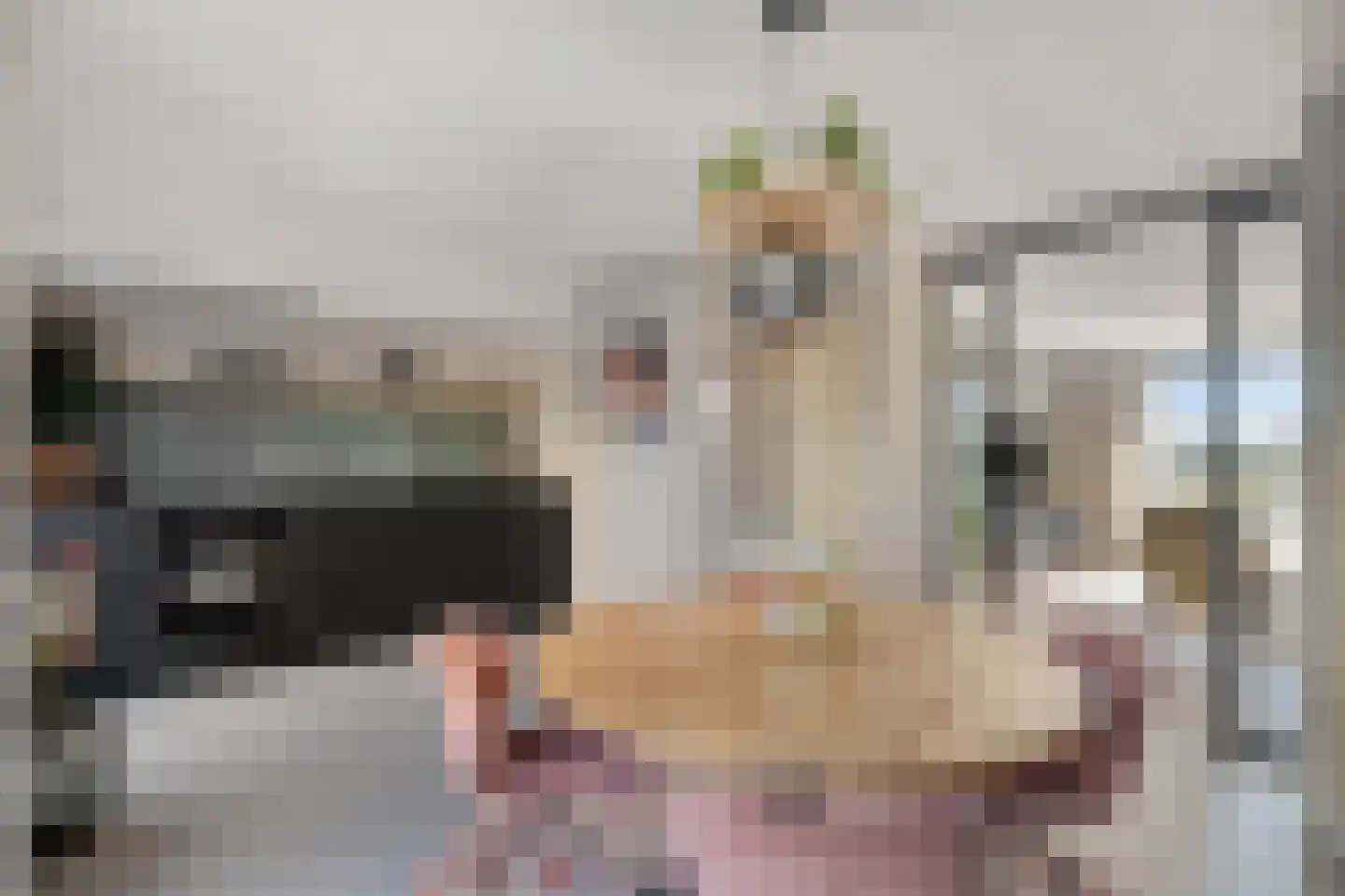 Philipsdaalder 82 Dronten thumbnail 18