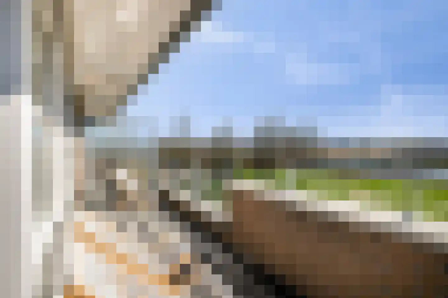 Philipsdaalder 82 Dronten thumbnail 37